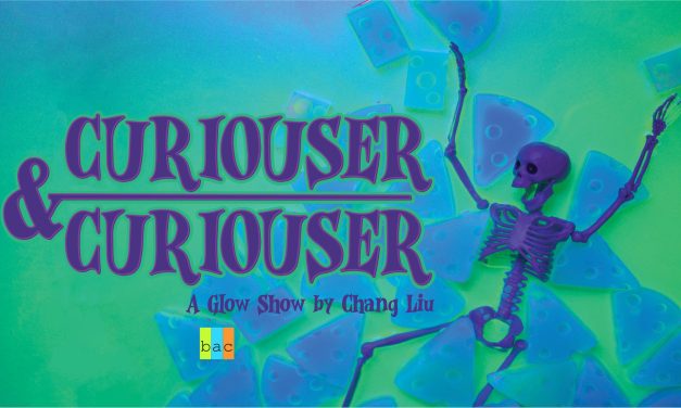 Curiouser and Curiouser by Chang Liu Opening Reception